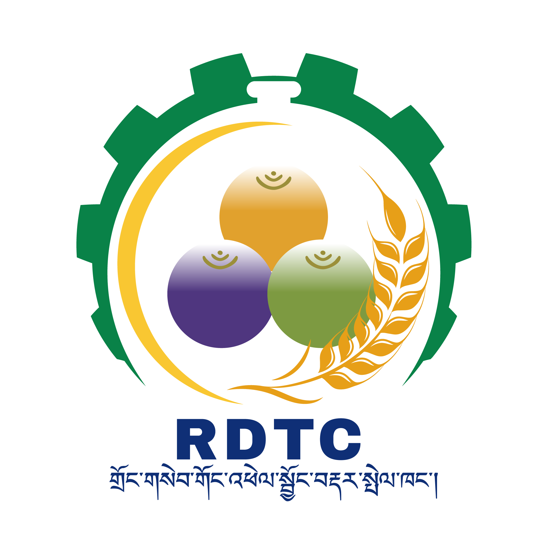 RDTC Logo